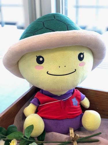かめまるぬいぐるみ.jpg