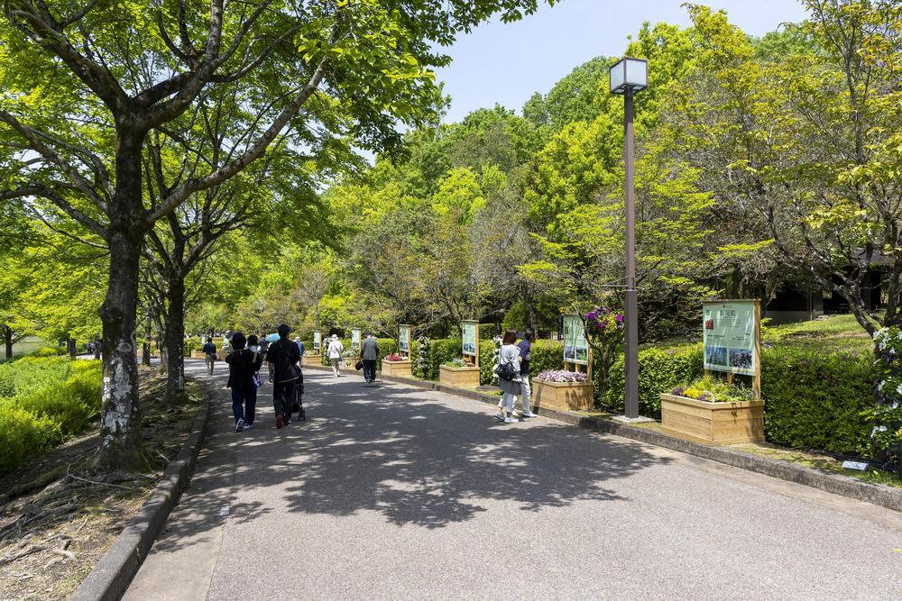 自治体花壇 (1).jpg