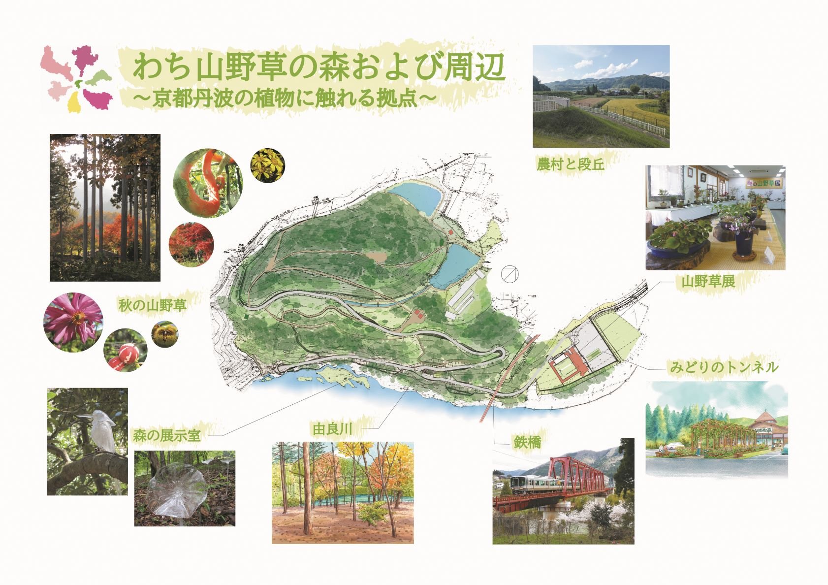 わち山野草の森　レイアウト（Mサイズ）.jpg