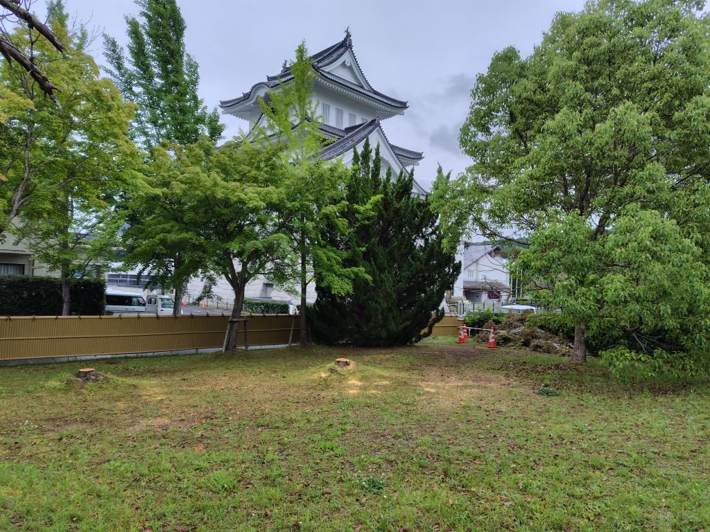 園部城(発掘).jpg
